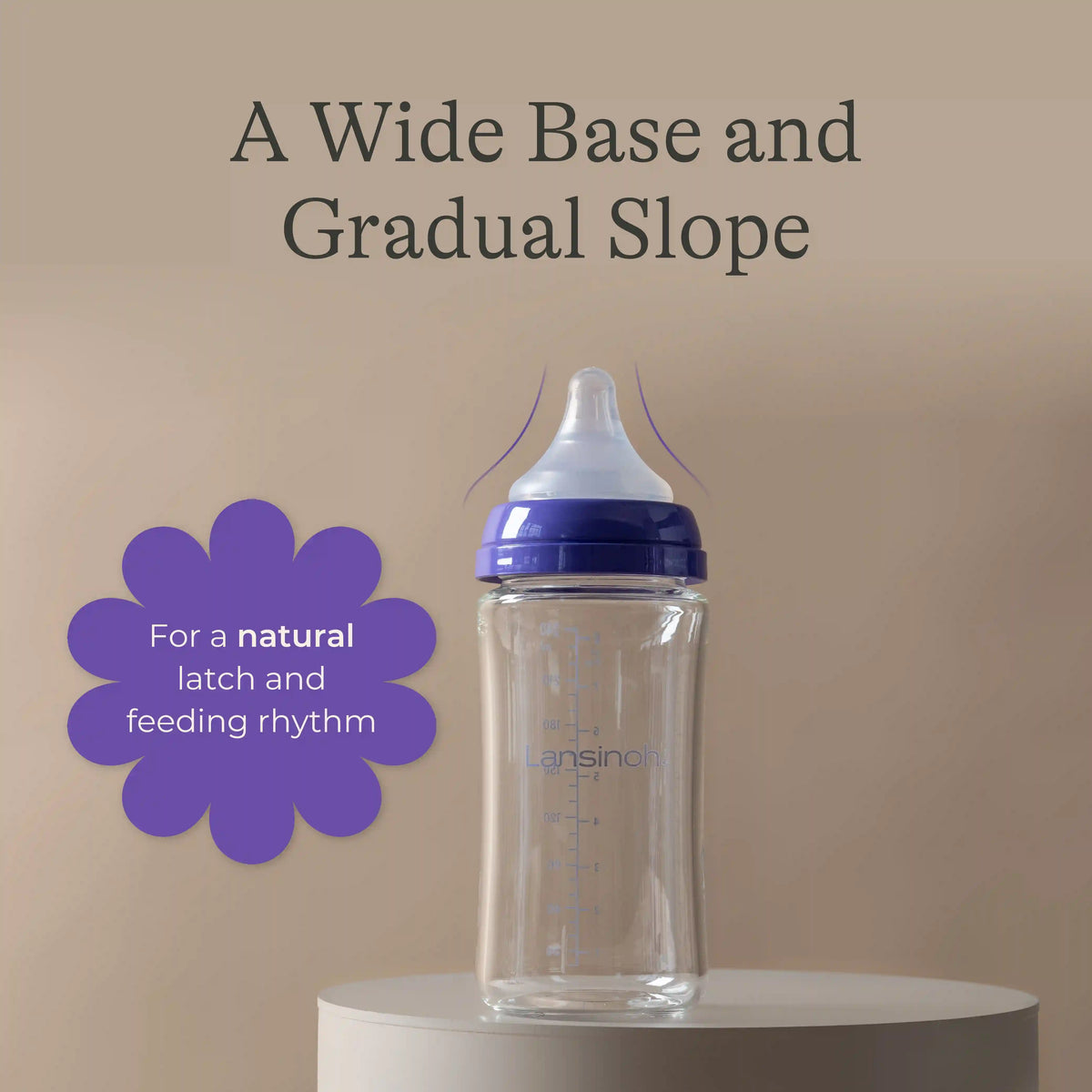 Glass Baby Bottles 8oz (4 pack)