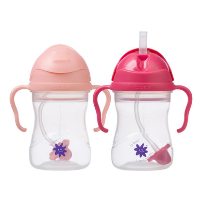 b.box + Lansinoh Sippy Cup twin pack