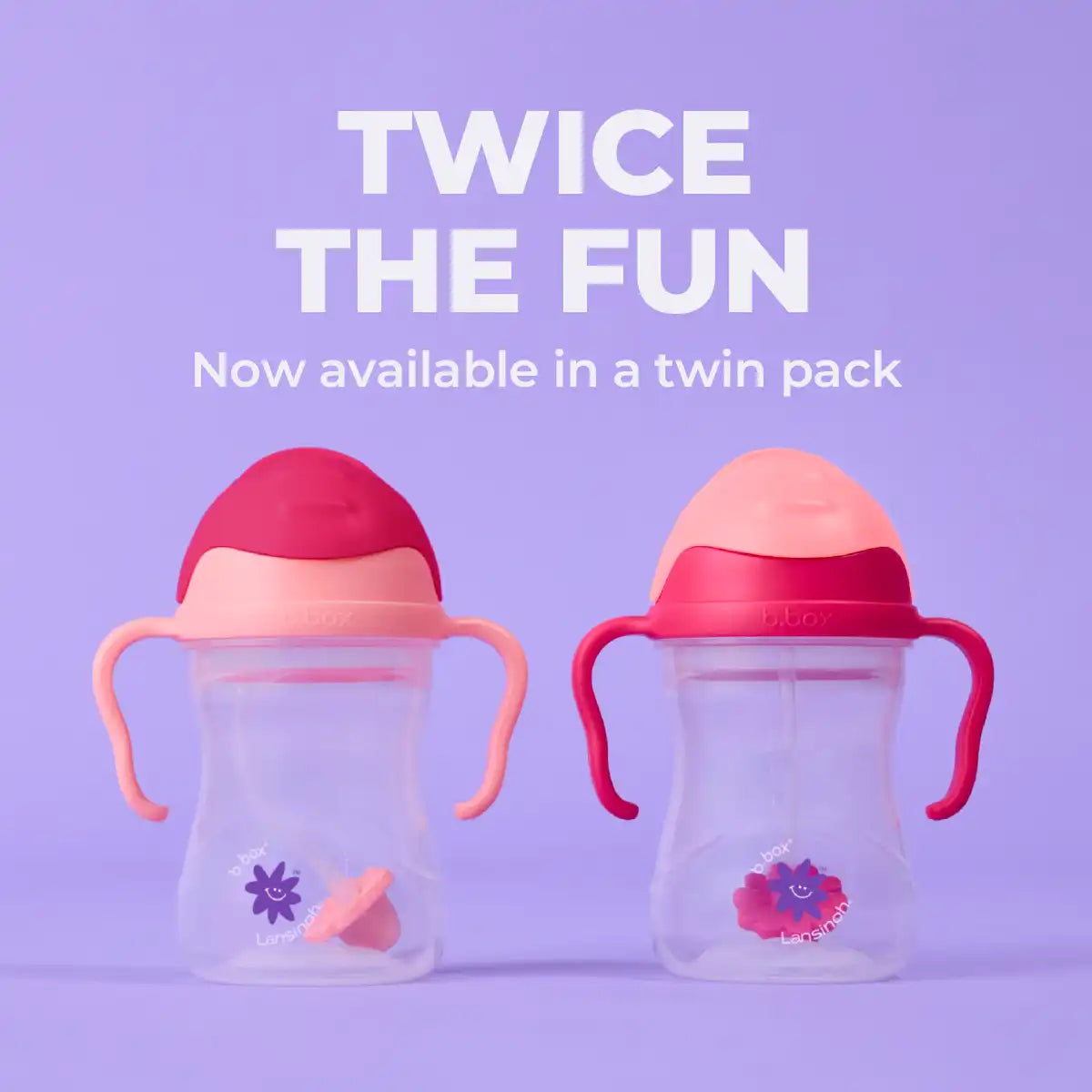 b.box + Lansinoh Sippy Cup twin pack